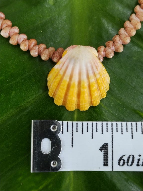 Sunrise Shell Anklet: 9.5' inch, Puka Shell Clasp, Kahelelani Shells, Natural Shell Jewelry, Hawaiian Jewelry