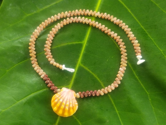 Sunrise Shell Lei: Kauai Kahelelani Shells, Sunrise Shell, Puka Shells, Hawaii Shells Beach Jewelry, Eco-Friendly Collected Rare Shells