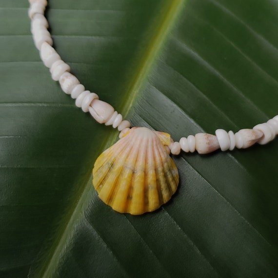 Sunrise Shell Lei Kauai Kahelelani Shell Lei Hawaii Shells Beach Jewelry Eco-Friendly Collected Rare Shells Island Mermaid Sunrise Shell