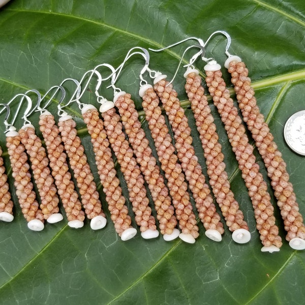Kahelelani Shell Earrings: Kauai Puka Shells, Beige Shells, Sterling Silver
