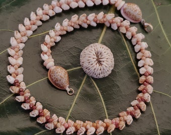 Könnte beinhalten: Eine rosa und braune Muschelkette mit einem einzelnen Muschel Anhänger. Die Kette liegt auf einem grünen Blatt.