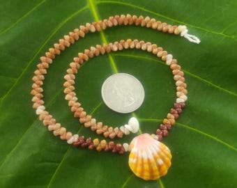 Sunrise Shell Lei: Kauai Kahelelani Shells, Sunrise Shell, Puka Shells, Hawaii Shells Beach Jewelry, Eco-Friendly Collected Rare Shells