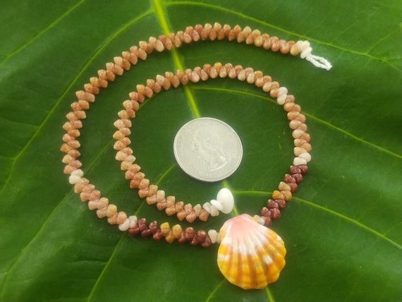 Sunrise Shell Lei: Kauai Kahelelani Shells, Sunrise Shell, Puka Shells, Hawaii Shells Beach Jewelry, Eco-Friendly Collected Rare Shells