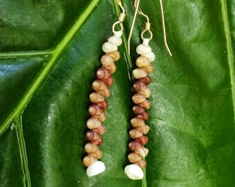 Kahelelani Shell Earrings: 14kt Gold Filled, Hawaiian Shell Jewelry, Kauai Eco Friendly ,Island Jewelry, Beach Earrings