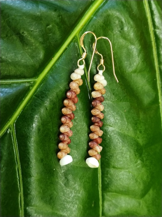 Kahelelani Shell Earrings: 14kt Gold Filled, Hawaiian Shell Jewelry, Kauai Eco Friendly ,Island Jewelry, Beach Earrings