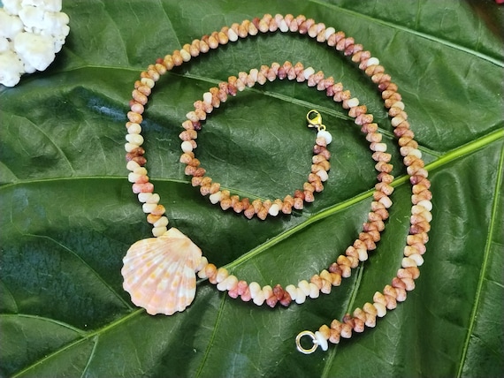 Sunrise Shell Lei: 20' inch, Kauai Kahelelani Shells,  14kt Gold Clasp, Langford Pectin Shell,  Kauai Handmade Niihau Shell Necklace