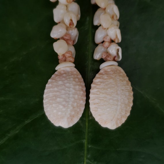 Momi Shell Earrings Kauai Kahelelani Earrings Hawaiian Shell Earrings Momi Shells Kahelelani Shells Kauai Beach Shells Hawaiian Rare Shells