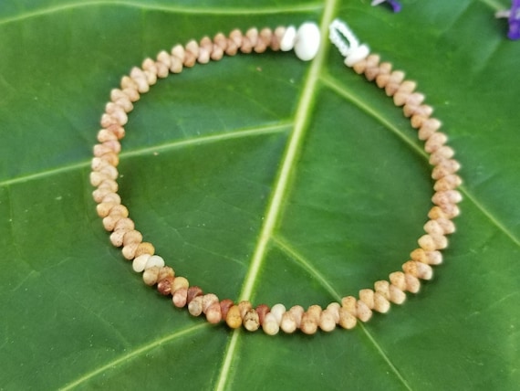 Kahelelani shell Bracelet Sea Shell Bracelet Kauai Shell Jewelry Eco Friendly Natural Shell Bracelet Kauai Kahelelani Shells Hawaiian Shells