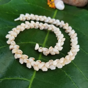 Kauai Momi Shell Lei: Traditionelle hawaiianische Halskette, seltene Muscheln