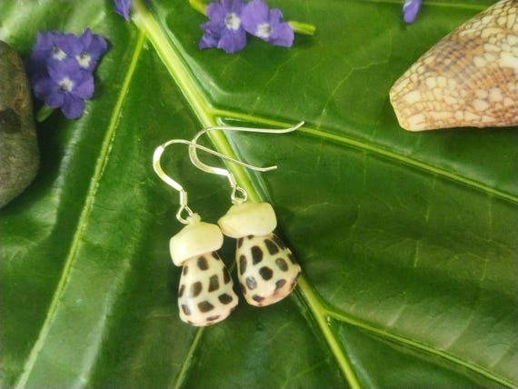 Puka Shell Earrings Kauai Beach Earrings Kauai Beach Jewelry Eco Friendly Collected Shells Mermaids Tears Surfer Puka Shell Earrings