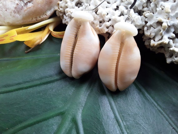 Shell Earrings Cowrie Shell Earrings Puka Shell Earrings Shells Authentic Kauai Shell Jewelry Hawaiian Seashell Earrings Checkered Cowrie