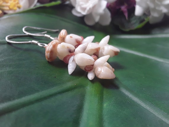 Momi Shell Earrings Kauai Shell Earrings Hawaiian Shell Earrings Heleconia Traditional Pikake Weave Rare Momi Kahelelani Shells Kauai Momi