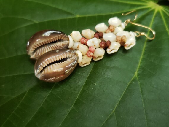 Shell Earrings Kauai Kahelelani Shell Earrings Hawaiian Momi Shell Earrings Momi Shells Kahelelani Shells Kauai Momi Beach Shells Rare Shell