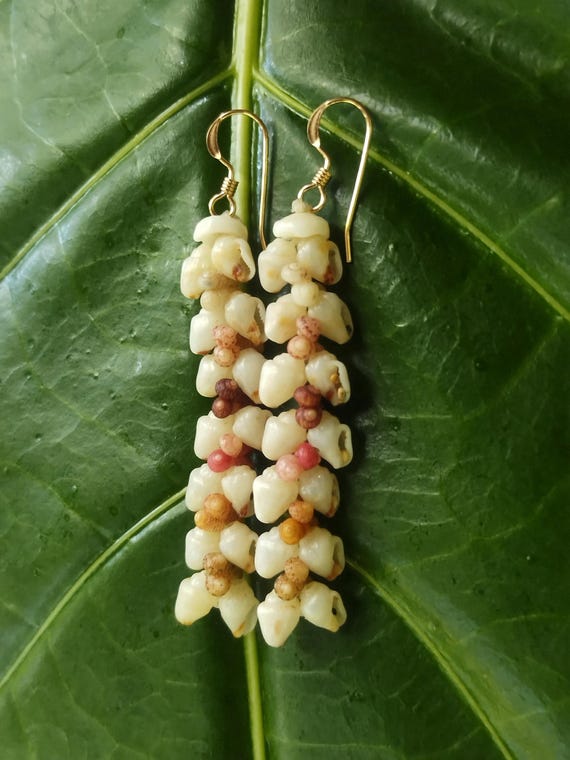 Kauai Momi & Kahelelani Shell Earrings: Momi Shells, Kahelelani Shells, Puka Shells, 14kt Gold Filled, Heleconia Traditional Hawaiian Weave
