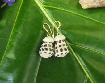 Shell Earrings: Hebrew Cone Shells, Puka Shells, 14kt Gold Filled, Handmade Kauai Beach Jewelry