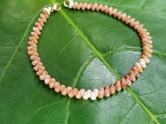 Kahelelani shell Bracelet Sea Shell Bracelet Kauai Shell Jewelry Eco Friendly Natural Shell Bracelet Kauai Kahelelani Shells Hawaiian Shells