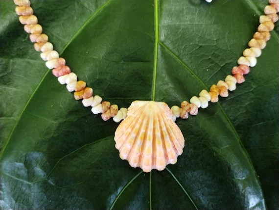 Sunrise Shell Lei: 17.5' inch, Kauai Kahelelani Shells,  14kt Gold Clasp, Langford Pectin Shell,  Kauai Handmade Niihau Shell Necklace
