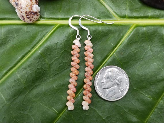 Shell Earrings Kahelelani Shell Earrings Hawaiian Shell Jewelry Kauai Eco Friendly Collected Kauai Shells Island Jewelry Beach Earrings