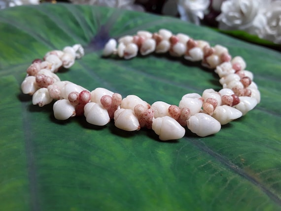 Momi Shell Bracelet Kahelelani Shell Bracelet Momi Shell Jewelry Eco Friendly Collected Momi Shells Jewelry Hawaiian Bracelet Kauai Shell