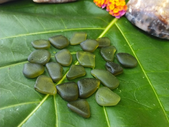 Kauai Olive Green Sea glass Kauai Beach Sea glass Beach Sea Glass Jewelry Sea Glass Ocean Sea Glass Rare Green Sea glass Sea Glass