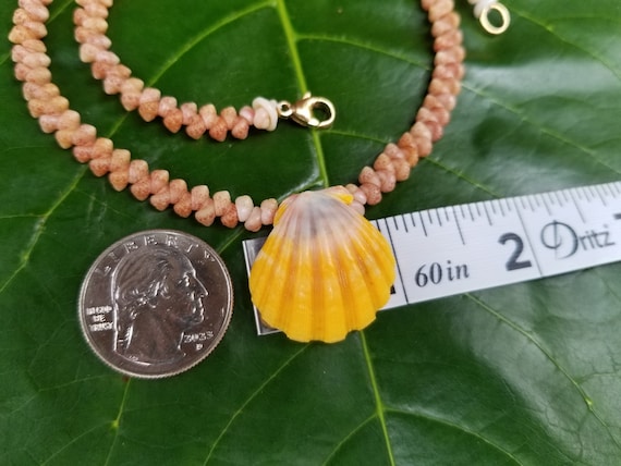 Sunrise Shell Lei Kauai Kahelelani Shell Lei Hawaii Shells Beach Jewelry Eco-Friendly Collected Rare Shells Island Mermaid Sunrise Shell