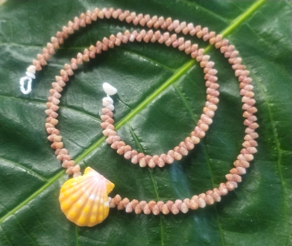 Sunrise Shell Lei: Kauai Kahelelani Shells, Sunrise Shell, Puka Shells, Hawaii Shells Beach Jewelry, Eco-Friendly Collected Rare Shells