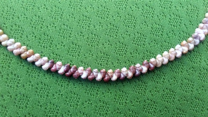 Shell Necklace Kauai Necklace Shell Lei Kauai Shells Shell Necklace Hawaii Shell Jewelry Rare Shells Beach Jewelry