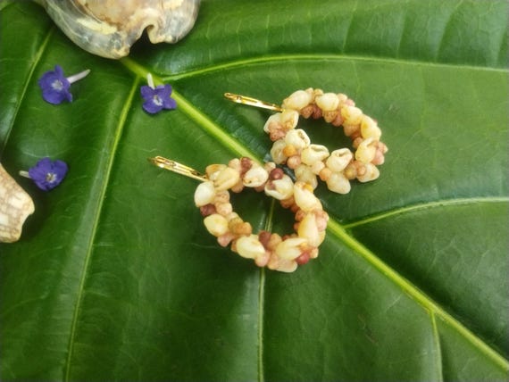 Momi Shell Earrings Kauai Shell Hoop Earrings Hawaiian Shell Earrings Kahelelani Shells Kauai Shells  Kauai Wedding Gift Rare Shell Jewelry