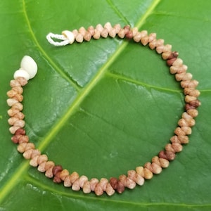 May include: A necklace made of small, light brown shells, arranged in a repeating pattern. The necklace is laid on a large, green leaf. The necklace has a white clasp and a few larger white shells at one end.