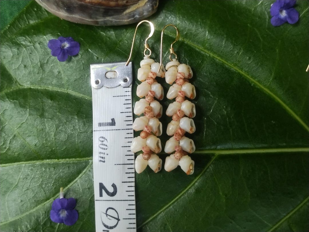 Orecchini Conchiglie per Donna, Oro Orecchini a Perno con Conchiglia