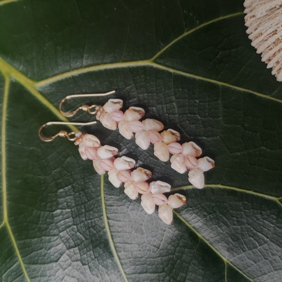 Kahelelani Shell Earrings: Kauai Momi Shells, Float Cowrie Shells, Sundail Shells, 14kt Gold Filled Earring Wires, Hawaiian Beach Earrings