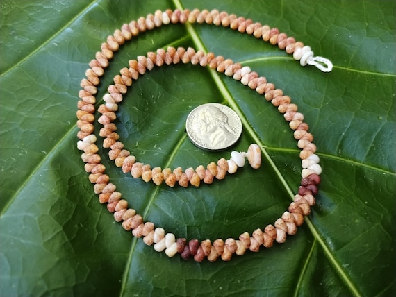 Shell Jewelry Shell Necklace Shell Lei Rare Shells Puka Shell Jewelry Shells Kauai Shell Necklace Hawaii Shell Jewelry Kahelelani Shell Lei