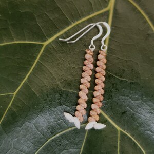 Shell Earrings Kahelelani Shell Earrings Hawaiian Shell Jewelry Shells Niihau Shell Niihau Earrings Kauai Niihau Shell Earrings Rare Shells image 9