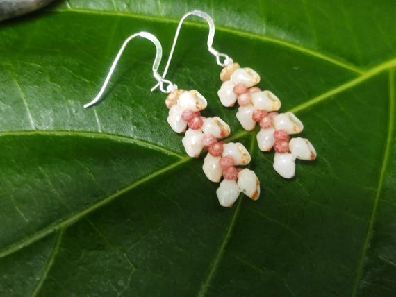 Shell Earrings Kauai Momi Shell Earrings Hawaiian Shell Earrings Rare Shells Momi Kahelelani Shells Kauai Kahelelani Shells Kauai Shells