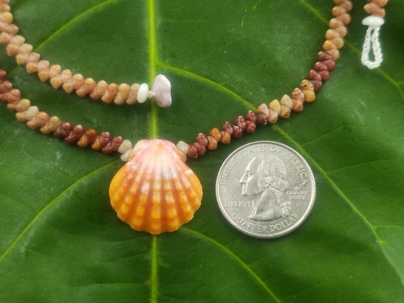 Sunrise Shell Lei: Kauai Kahelelani Shells, Sunrise Shell, Puka Shells, Hawaii Shells Beach Jewelry, Eco-Friendly Collected Rare Shells