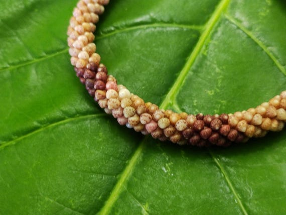 Kahelelani Shell Bracelet - Kauai Beach Jewelry Kauai Shells Rare Kauai Made Hawaiian Style-Eco Freindly Gathered Shell Jewelry Rare Shells