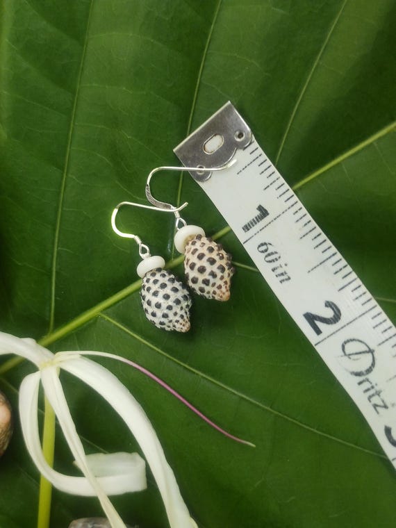 Drupe Shell Earrings Puka Shell Earrings Earrings Mermaid Earrings Eco Friendly Collected Kauai Shells Handmade Kauai Beach Earrings Shells