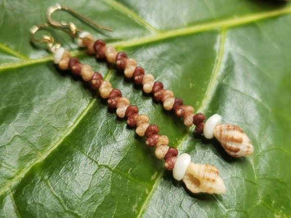 Shell Earrings Kahelelani Shell Earrings Hawaiian Shell Jewelry Kauai Eco Friendly Collected Kauai Shells Island Jewelry Beach Earrings