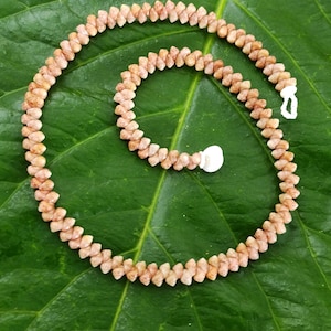May include: A necklace made of small, light brown shells, arranged in a spiral pattern. The necklace is displayed on a large, green leaf. The clasp is white.