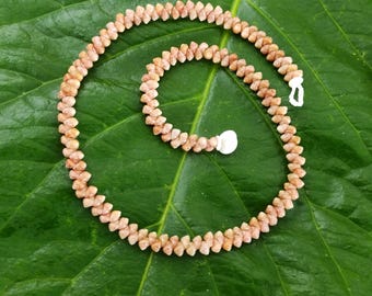 Kahelelani Shell Lei: Beige Kahelelani Shells, Puka Shells, 50lb Nylon String, Puka Shell Clasp, Single Strand Lei