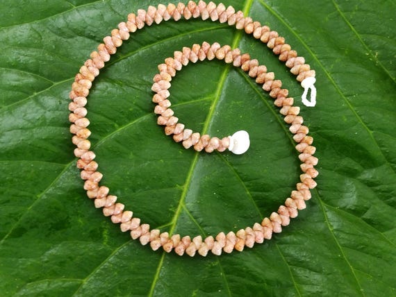Kahelelani Shell Lei: Beige Kahelelani Shells, Puka Shells, 50lb Nylon String, Puka Shell Clasp, Single Strand Lei