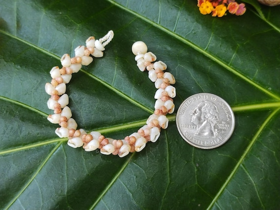 Keiki Shell Bracelet Heleconia Kahelelani Kids Shell Bracelet Hawaiian Shell Jewelry Eco-Friendly Collected Rare Shells Kahelelani Shells