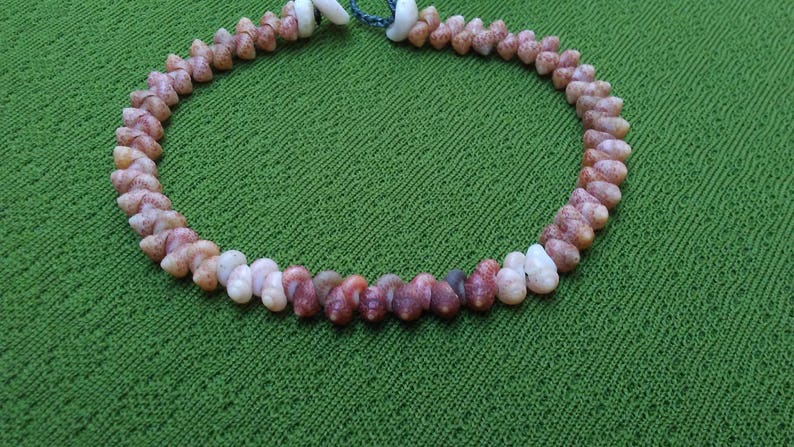 Shell Jewelry Nautical Eco Friendly Rare Seashell Bracelet Kauai Beach Island Seashell Bracelet Hawaii Hawaii Bracelet Rare Shells