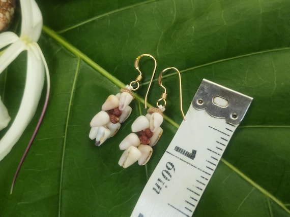 Shell Earrings Kahelelani Shell Earrings Hawaiian Shell Jewelry Kauai Eco Friendly Collected Kauai Shells Island Jewelry Beach Earrings