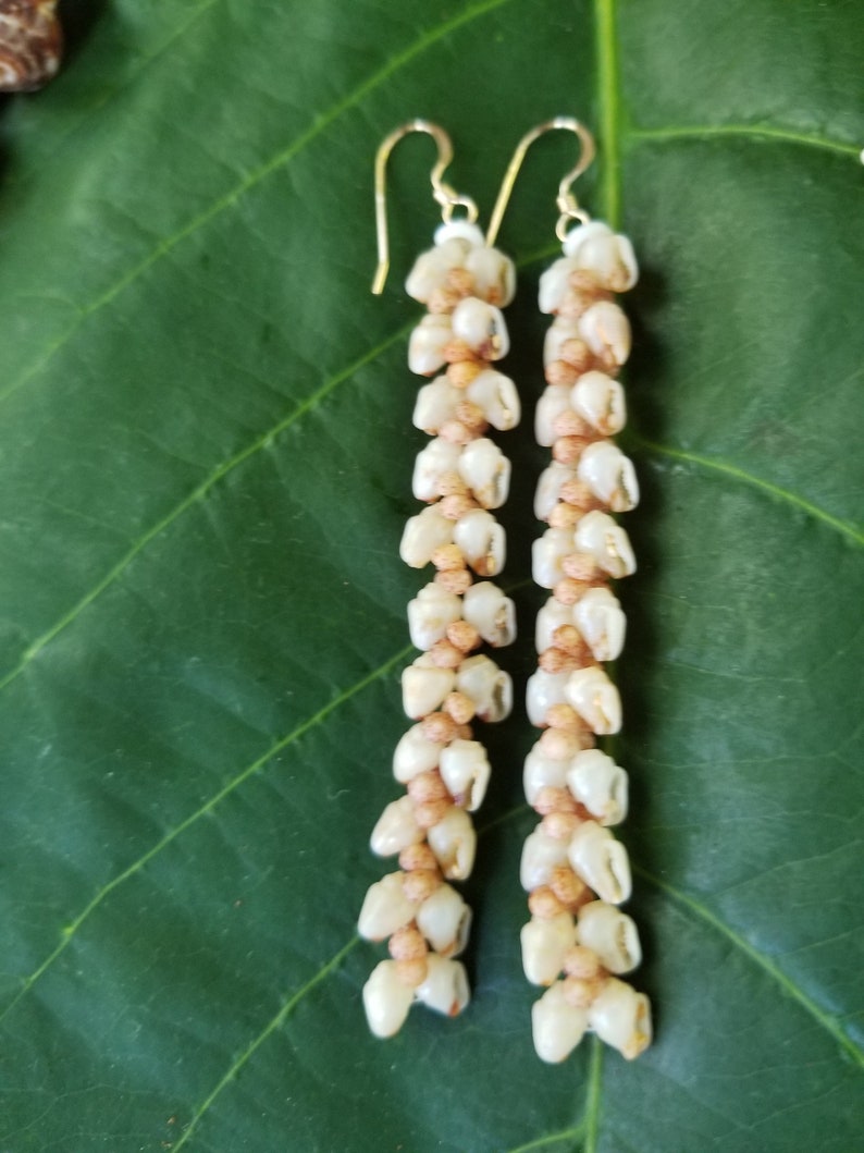 Shell Earrings Kauai Kahelelani Shell Earrings Hawaiian Momi Shell Earrings Momi Shells Kahelelani Shells Kauai Momi Beach Shells Rare Shell image 8