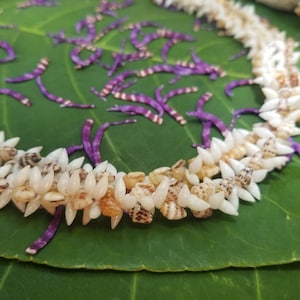 Kahelelani Shell Necklace Momi Shell Jewelry Momi Shell Necklace Kauai