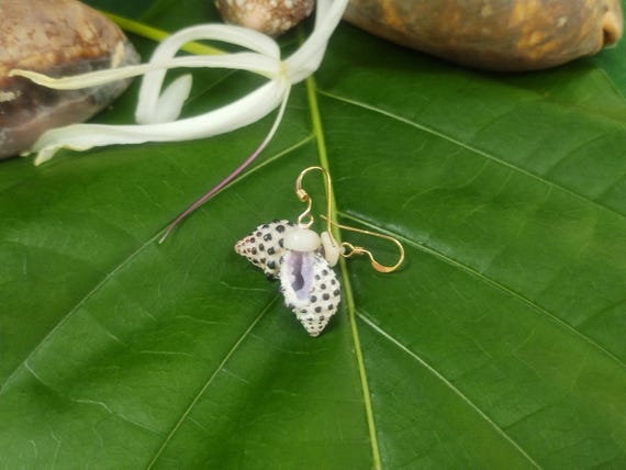 Drupe Shell Earrings Puka Shell Earrings Earrings Mermaid Earrings Eco Friendly Collected Kauai Shells Handmade Kauai Beach Earrings Shells