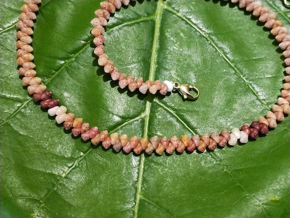 Shell Jewelry Shell Necklace Shell Lei Rare Shells Puka Shell Jewelry Shells Kauai Shell Necklace Hawaii Shell Jewelry Kahelelani Shell Lei