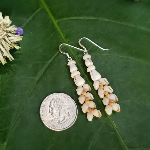 Shell Earrings Kauai Shell Earrings Hawaiian Shell Earring Traditional Weave Momi Shells Kahelelani Shells Kauai Beach Shell Hawaiian Shells