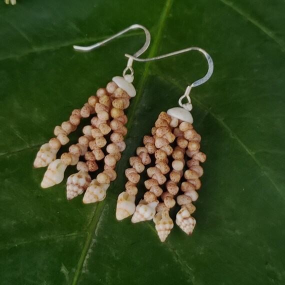 Kahelelani Shells Puka Shell Earrings Rare Hawaiian Shell Jewelry Kauai-Eco Friendly Seashells Island Earrings Beach Seashells Rare Shells
